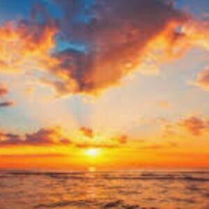 Meet your Posher, ziggy